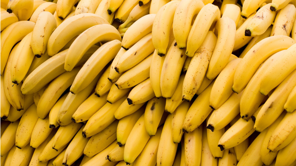Top-5 Bananas Exporting Countries in the World in 2025, Know About Them