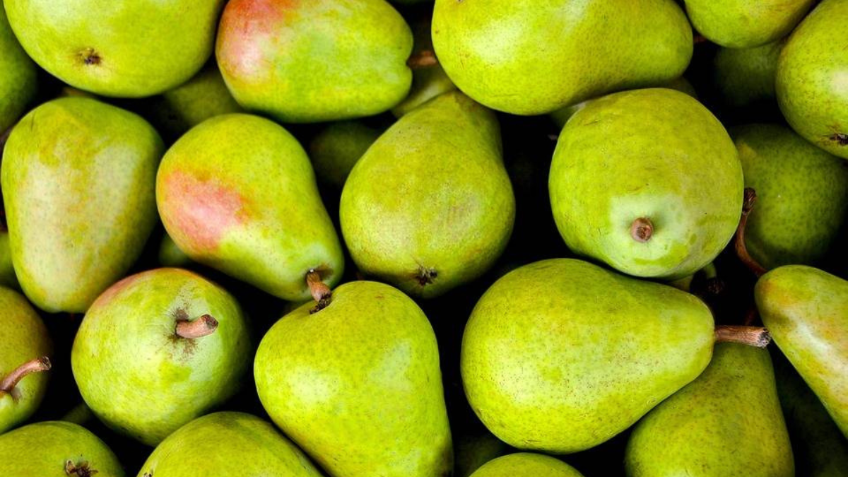 Top-5 Pear Producing Countries in the World in 2025, Know About Them
