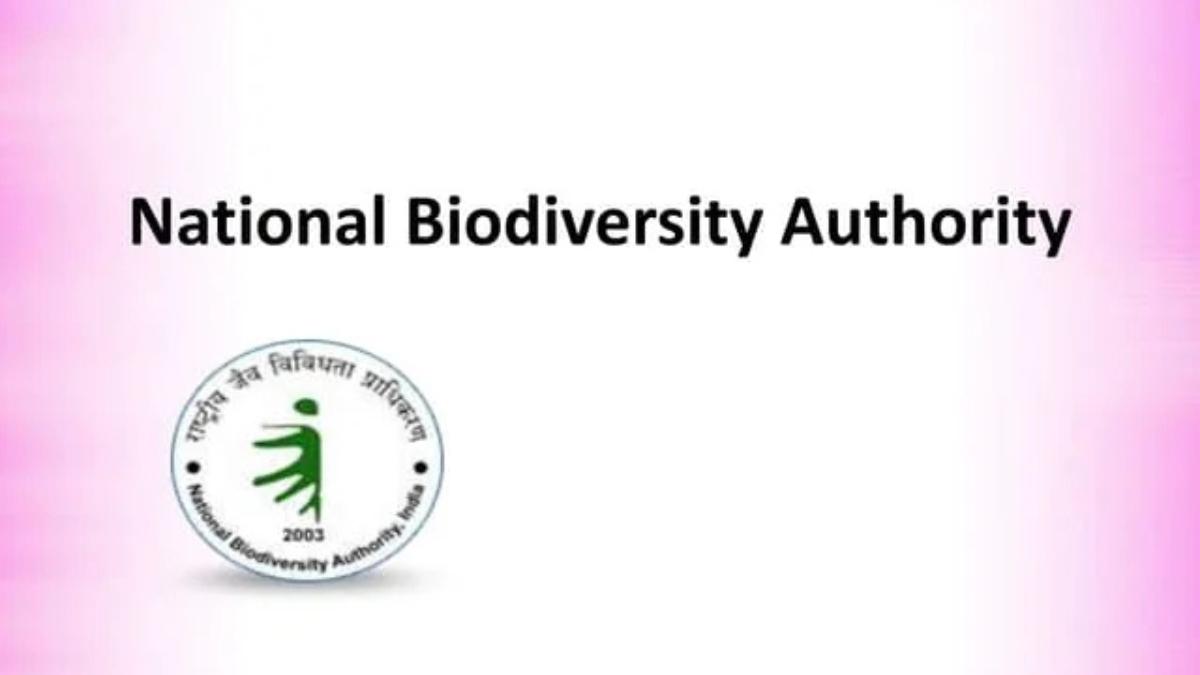 In Which Year was National Biodiversity Authority Established (1)