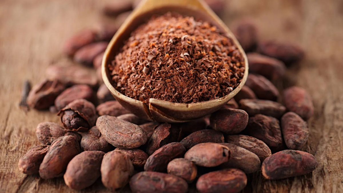 Top-5 Cocoa Producing Countries in the World in 2025, Know About Them