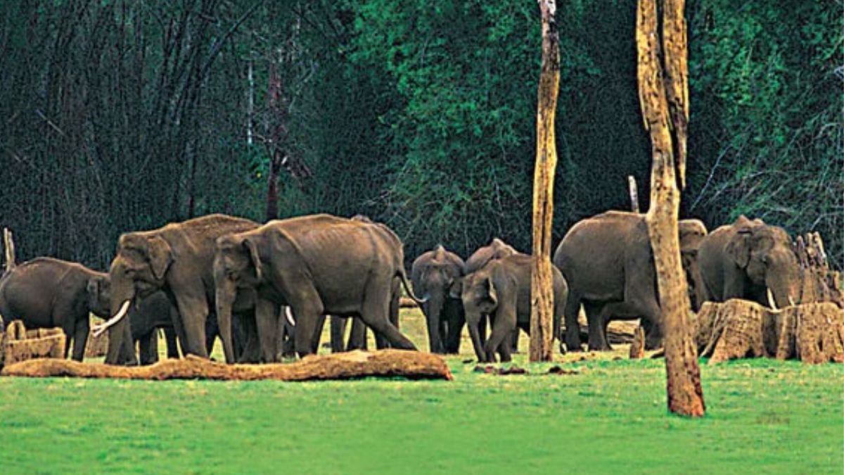 Kerala Tops National Evaluation of Protected Areas for 2020–2025