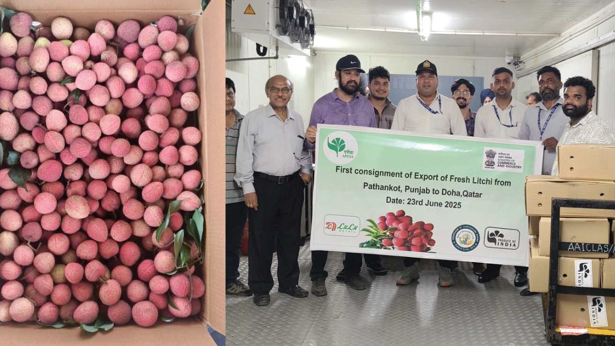 India Flags Off First Export of Rose-Scented Litchi from Pathankot to Qatar
