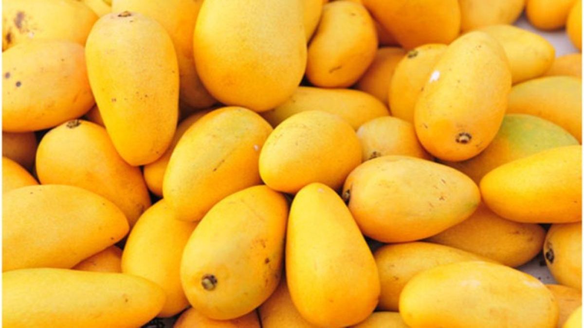 Top-5 Mangoes Exporting Countries in the World in 2025, Know About Them
