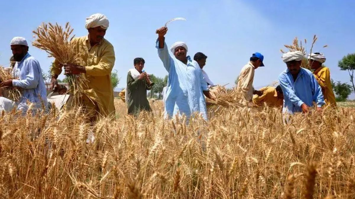 10 Years of PM Fasal Bima Yojana What’s Working, What Needs Change