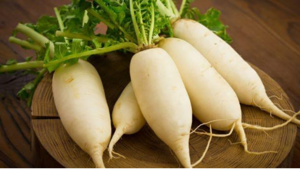 Top-3 Radish Exporting Countries in the World in 2025, Know About Them
