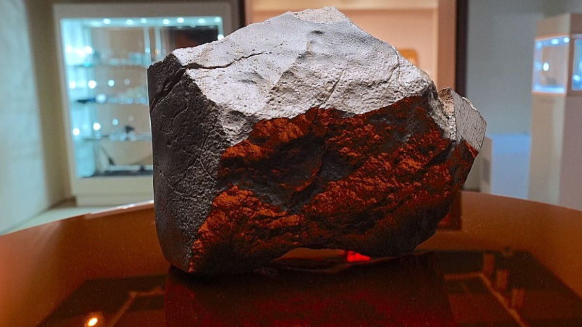 Martian Meteorite Sells for Record $5.3 Million