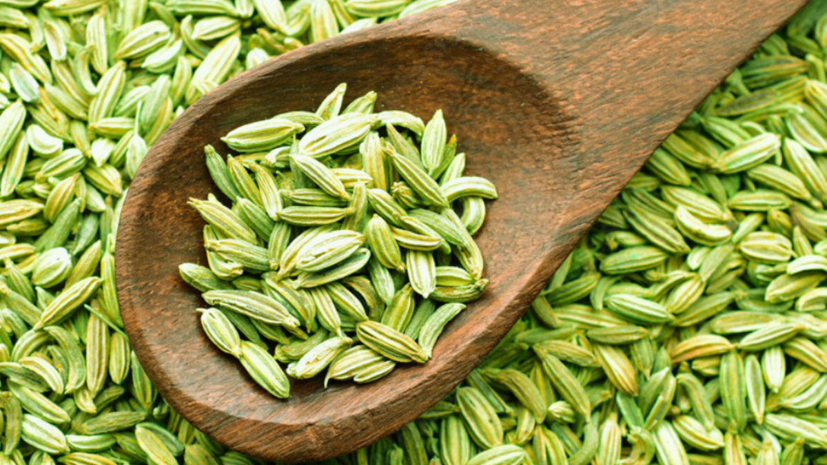 Top-5 Fennel Seeds Producing Countries in the World in 2025