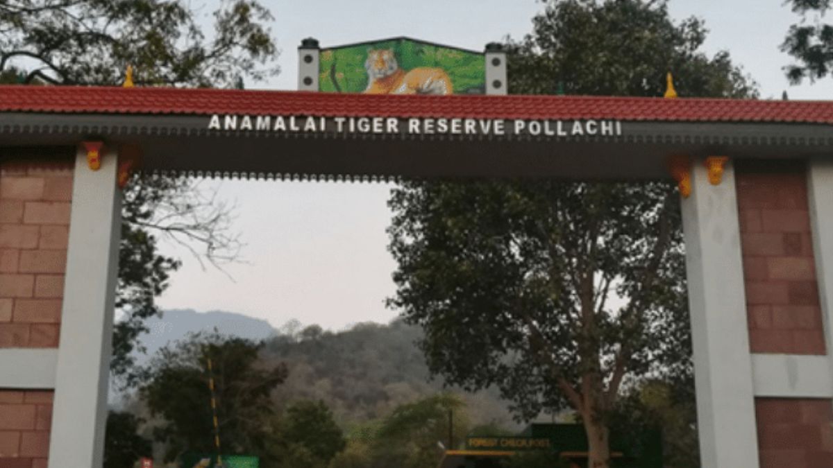 Tamil Nadu to Establish Hornbill Conservation Centre at Anamalai Tiger Reserve