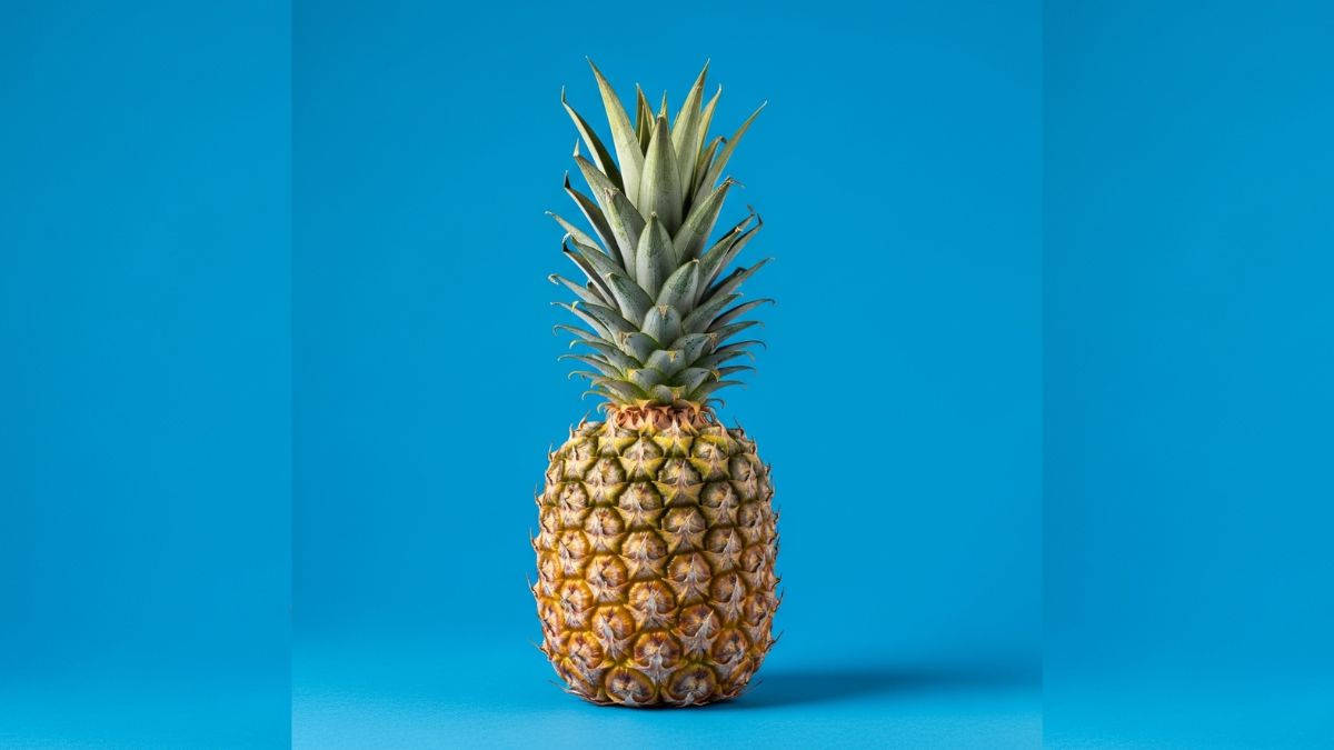 Indian Scientists Develop Fungal-Tolerant Variety For Pineapple Farming Innovation