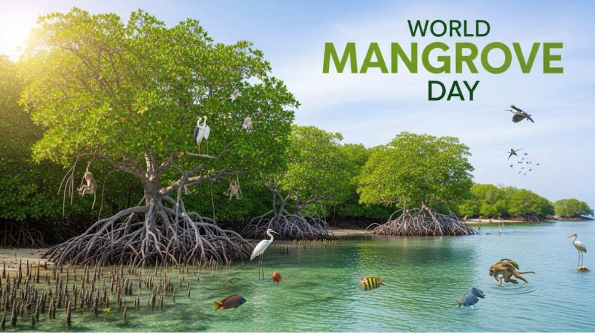 World Mangrove Day Preserving Nature’s Coastal Guardians