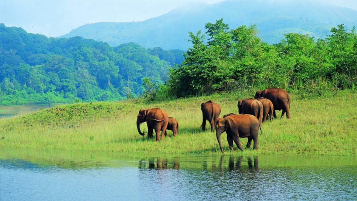 In Which State is Valmiki National Park Located?