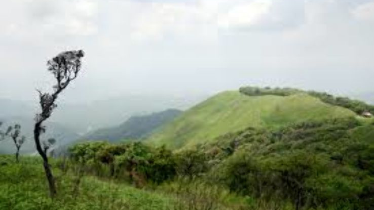 In Which State is Kasu Brahmananda Reddy National Park Located?