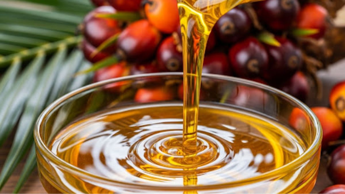 India’s Palm Oil Imports Decline While Soyoil Shipments Surge to 3-Year High