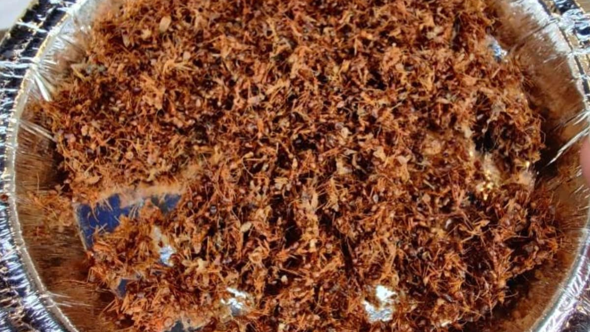 Which District of India is Known as the Land of Red Ant Chutney?