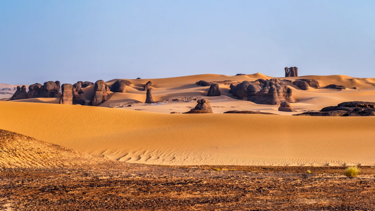 Top-10 Countries with the Most Desert Area in 2025, Check the List