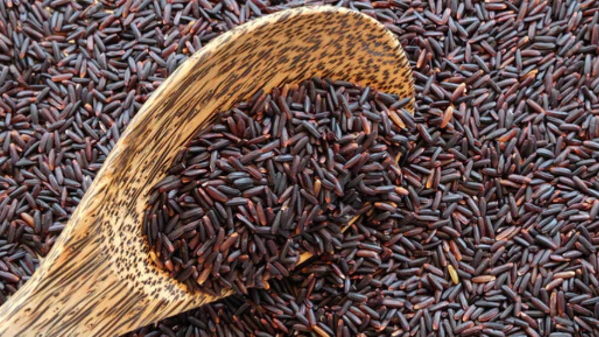 Which Indian Town is Known as the Land of Black Rice?