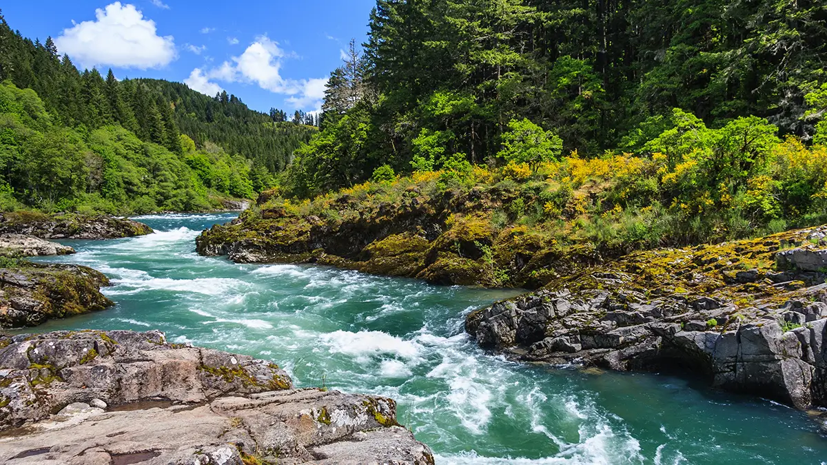 Major Rivers of Bihar, Know the Names and Their Significance