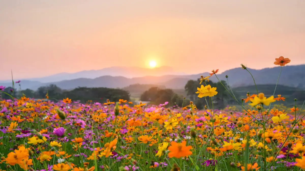 Which Season is Known as the King of All Seasons?