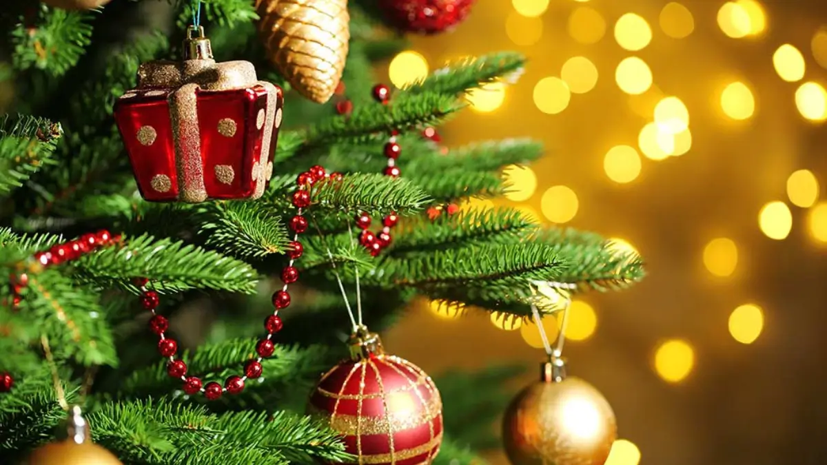 Christmas Eve 2025: What Is Christmas Eve And Why It Is So Significant?