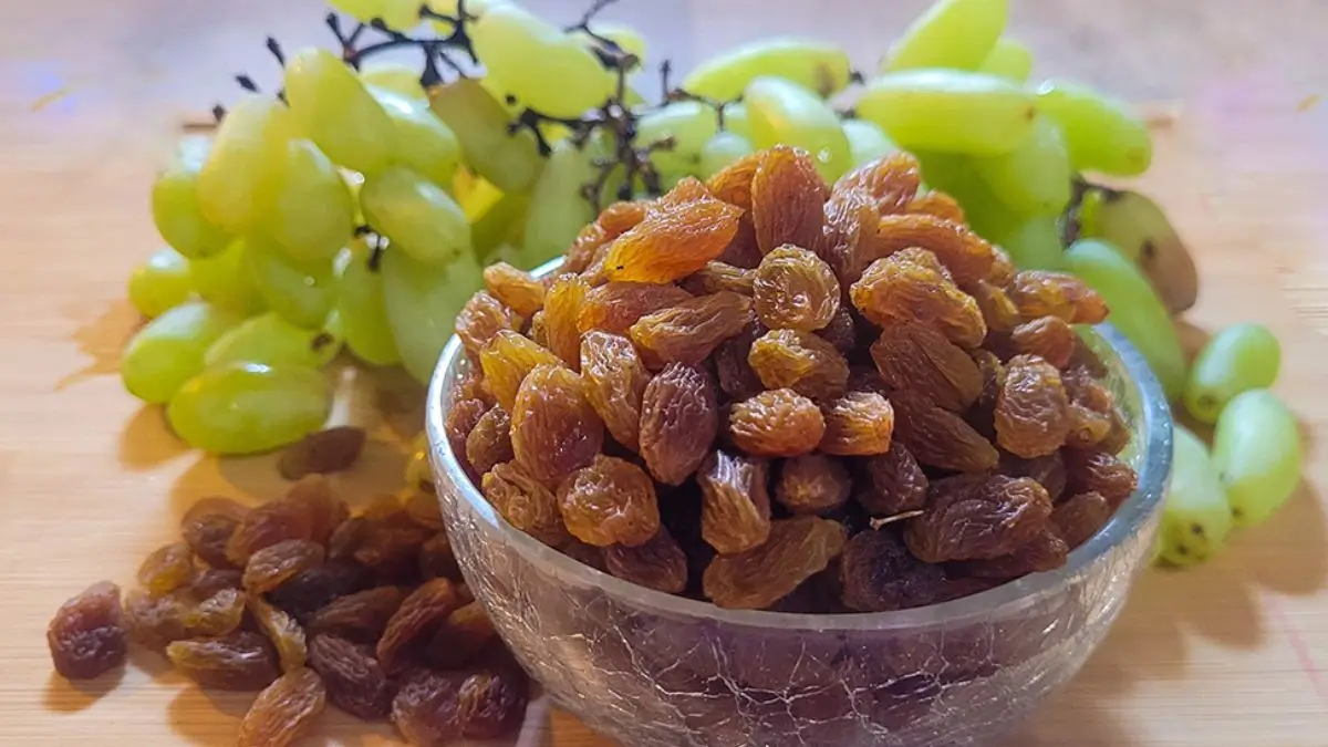 Maharashtra’s Sangli to Get Dedicated Raisin Research Centre