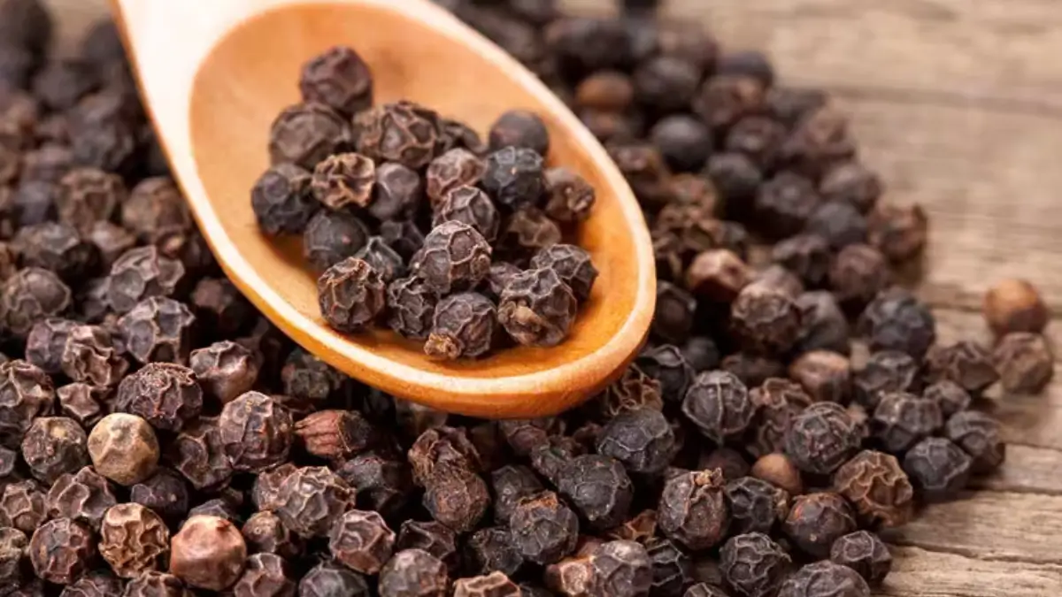 Which Spice is known as the King of Spices?