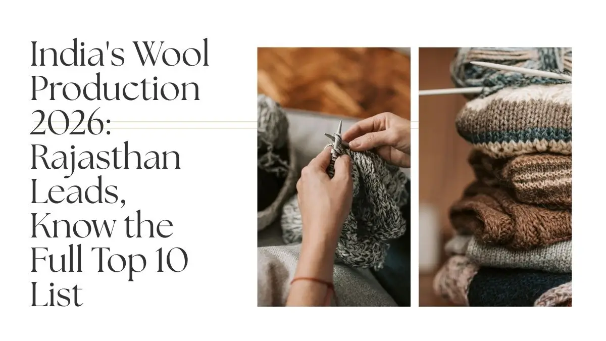 India's Wool Production 2026: Rajasthan Leads, Know the Full Top 10 List