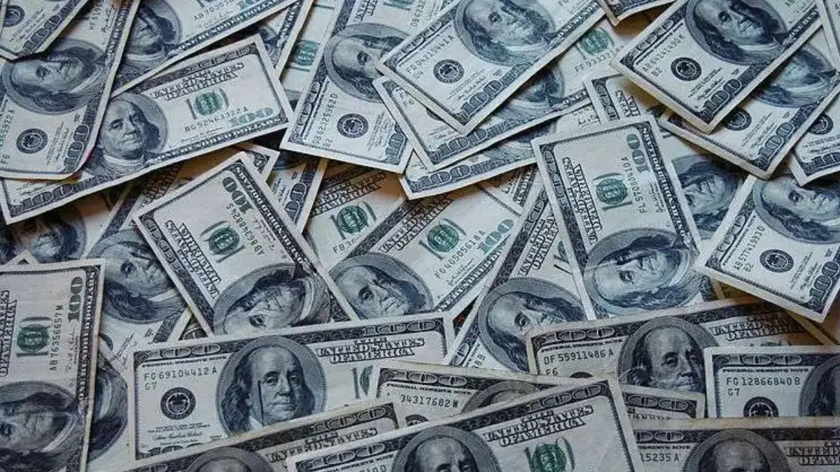 Forex Reserves of India Hit Record High With $725.727 Billion