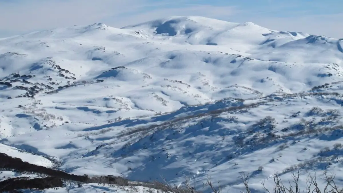 Which is the Highest Mountain of Australia? Check Its Height and Location