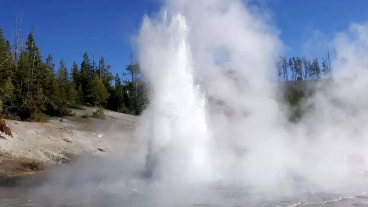 Yellowstone’s Rare Echinus Geyser Erupts Again After Six Years