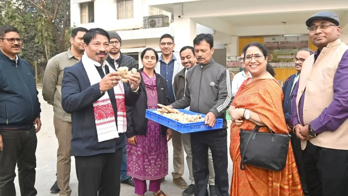 From Assam Hills to London: GI-Tagged Karbi Anglong Ginger Makes Global Debut