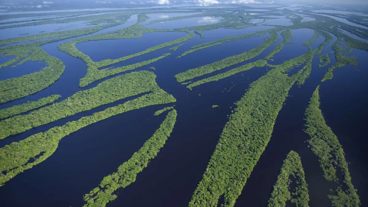 Which River is known as the Amazon of India?