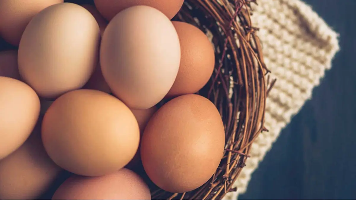 Which Country is the Largest Producer of Eggs in the World?