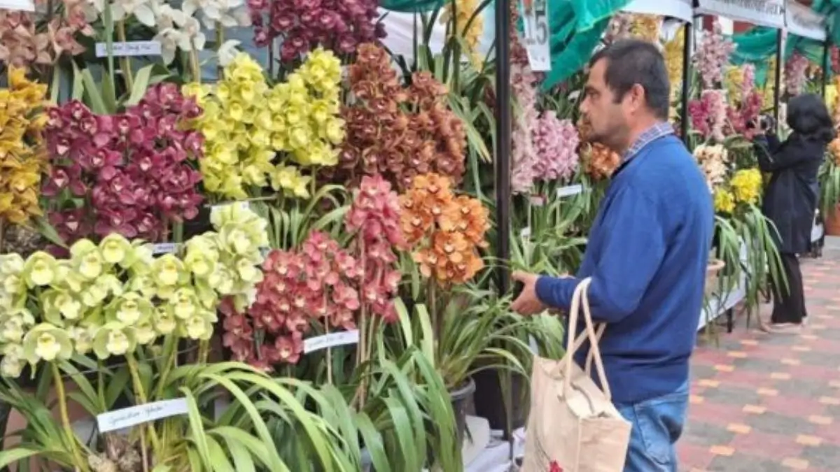 Indian Orchid Festival 2026 was Concluded in Sikkim