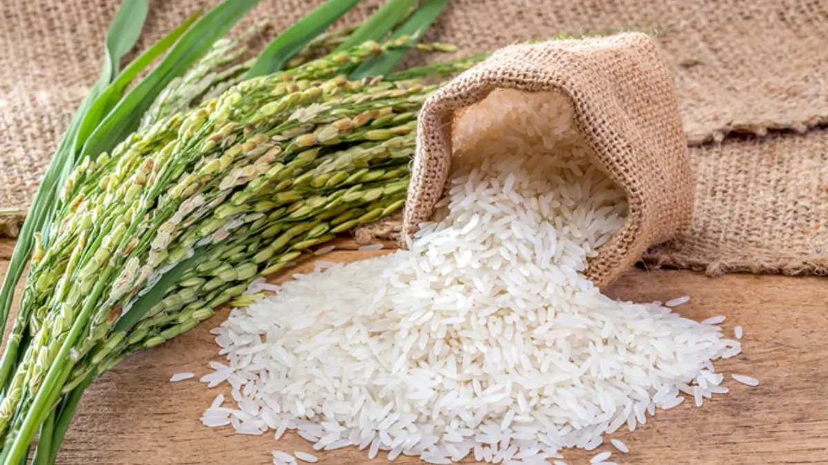 Which City is known as the Rice Capital of India?
