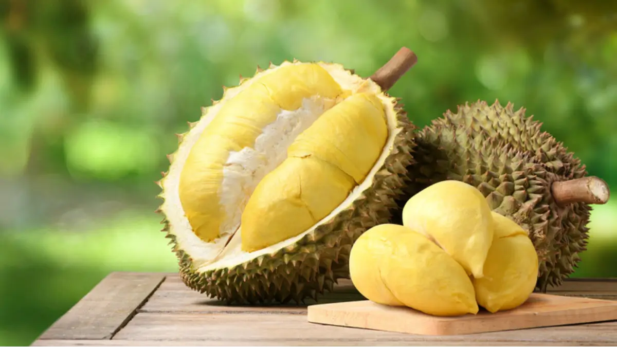 What is the National Fruit of Malaysia? Check Here