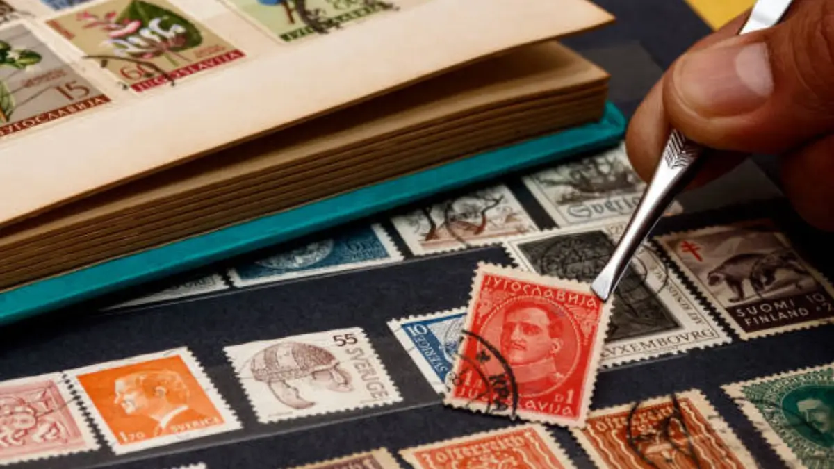 Which Hobby is known as the King of Hobbies?