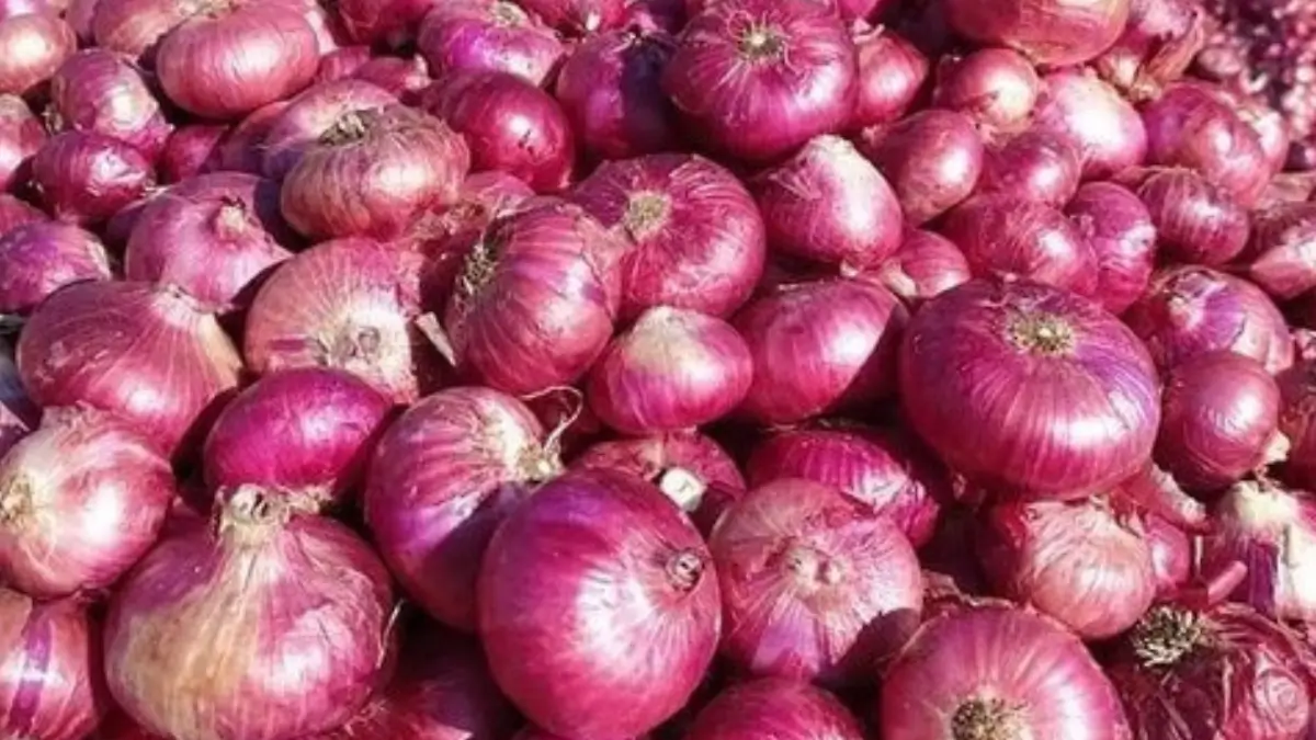 Which Place is known as the Onion Hub of India?