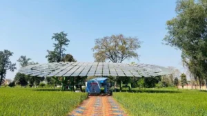 Which Institution has Developed the World's Largest Solar Tree?