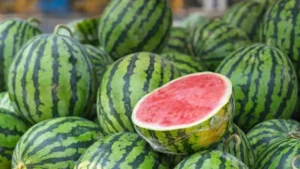 Which Place is known as the Watermelon Capital of the World?