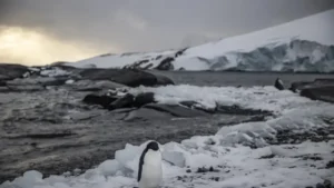 Do You Know Which Countries have No Snowfall?