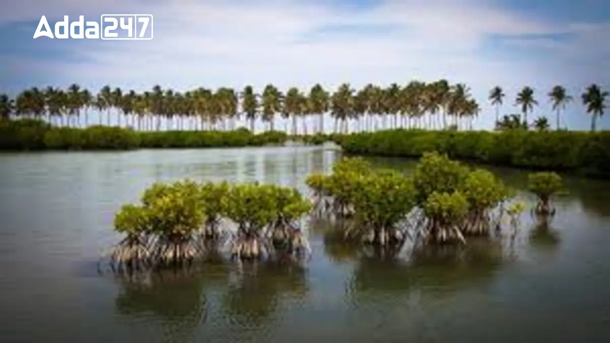 about – Page 670_8.1