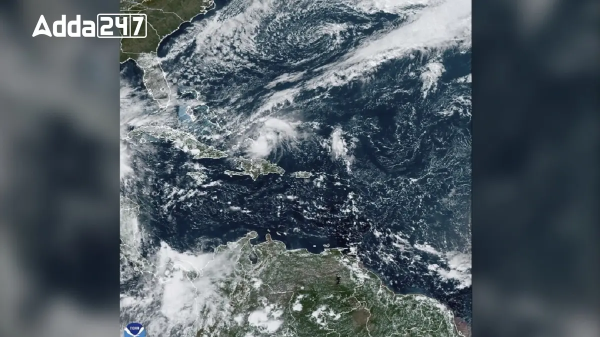 about – Page 651_4.1