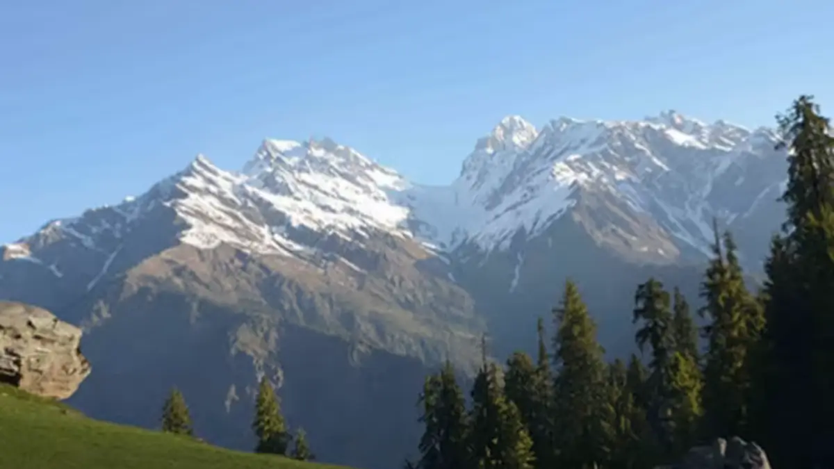 about – Page 558_2.1