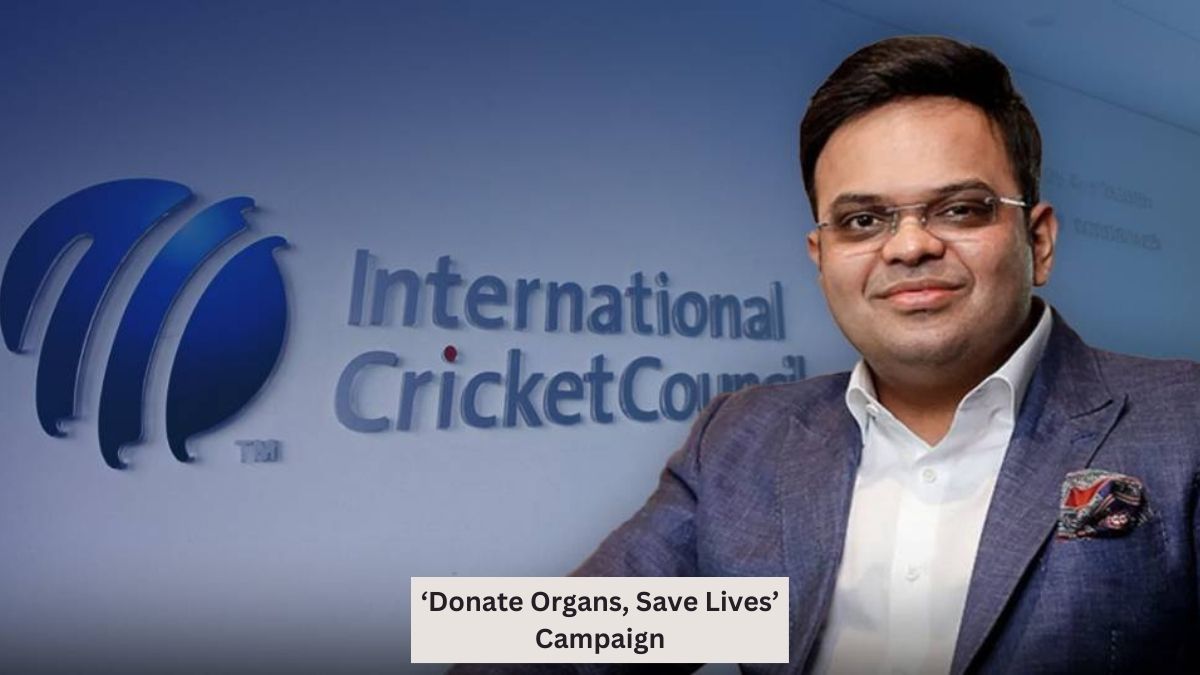 about – Page 537_6.1