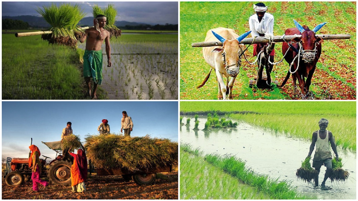 about – Page 536_5.1