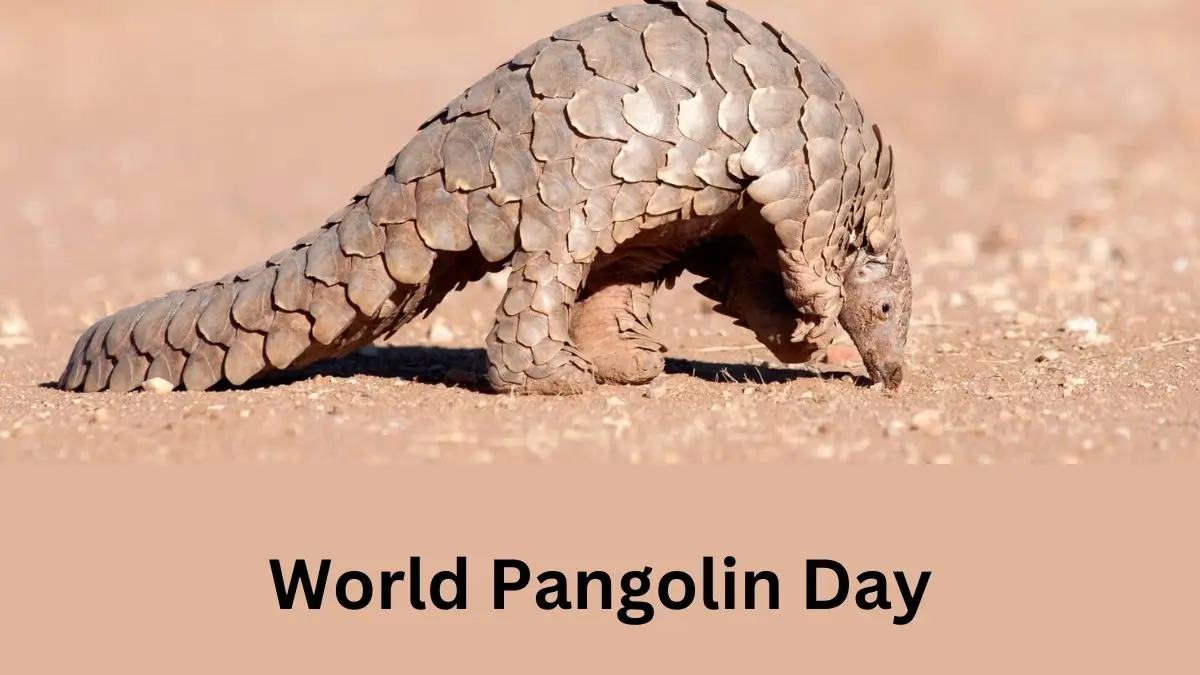 about – Page 529_4.1