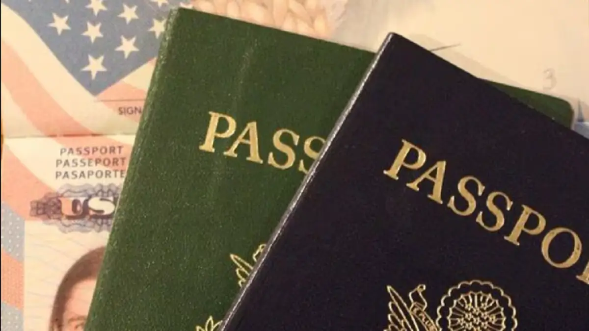 about – Page 516_11.1