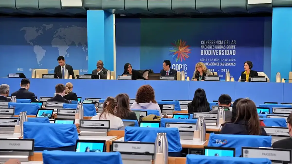 about – Page 515_2.1