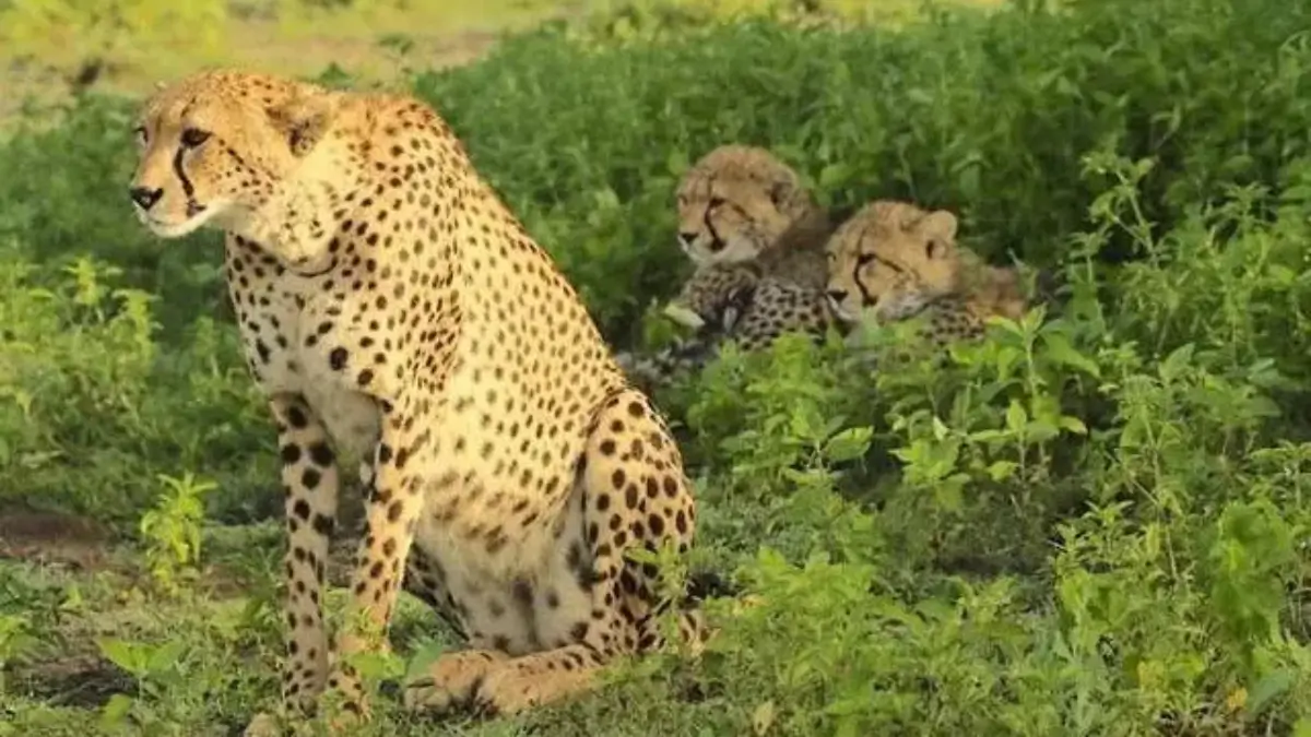 about – Page 504_5.1