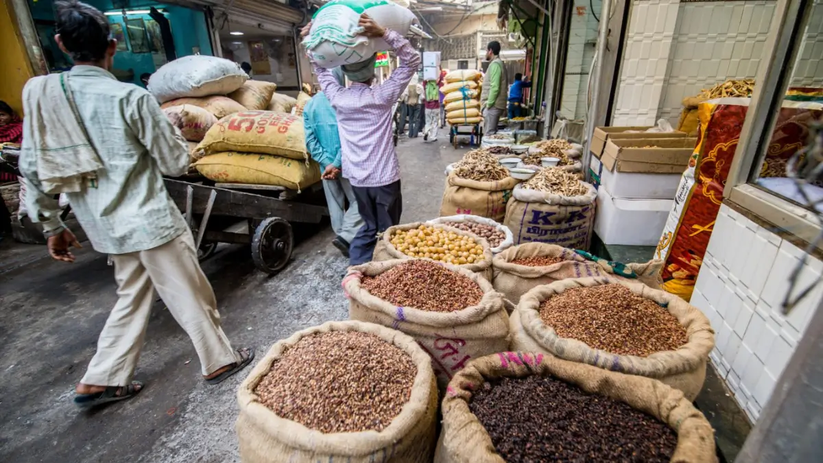 about – Page 493_2.1